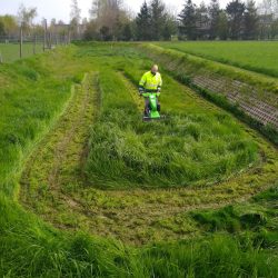 Peruzzo_motofrog-flail-mower-green-area
