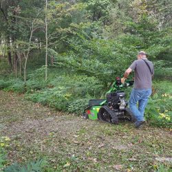 Peruzzo_motofrog-mower-undergrowth