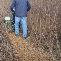 Peruzzo_motofrog75-uncultivated-area-1