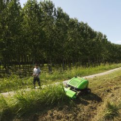 Peruzzo_radio-controlled-flailmower-robofox-hybrid