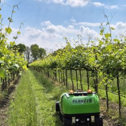 Peruzzo_robofox-electra-14