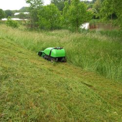 Peruzzo_robofox-hybrid-flailmower-green-area