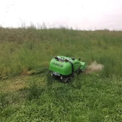 Peruzzo_robofox-hybrid-flailmower-uncultivated-area
