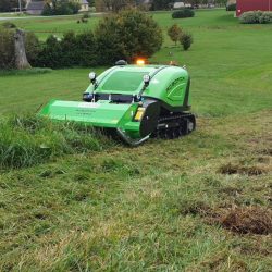 Peruzzo_robofox-hybrid-public-green-areas