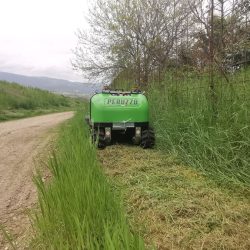 Peruzzo_robofox-hybrid-road-maintenance