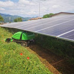 Peruzzo_robofox-hybrid-self-propelled-mower