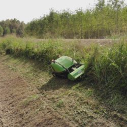 Peruzzo_robofox-hybrid-slippery-slope