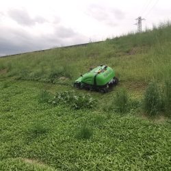 Peruzzo_robofox-hybrid-slopping-hill