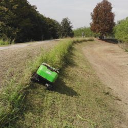 Peruzzo_robofox-hybrid-uncultivated-areas