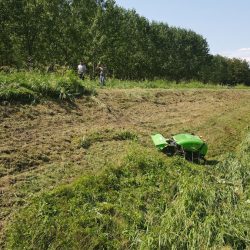 Peruzzo_robofox-hybrid-uncultivated-green-area