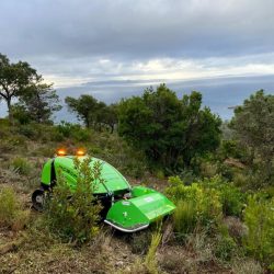 Peruzzo_robofox-hybrid-undergrowth