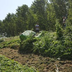 Peruzzo_robofoxx-hybrid-flail-undergrowth