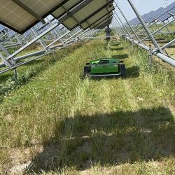 Peruzzo_robogeko-mower-on-photovoltaic