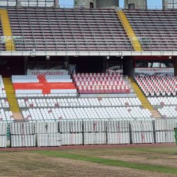 Peruzzo_rotovac-sweeper-collector