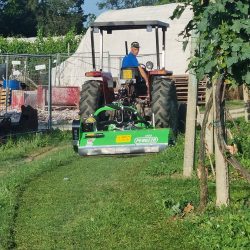 Peruzzo_vineyards-maintenance-elk-cross