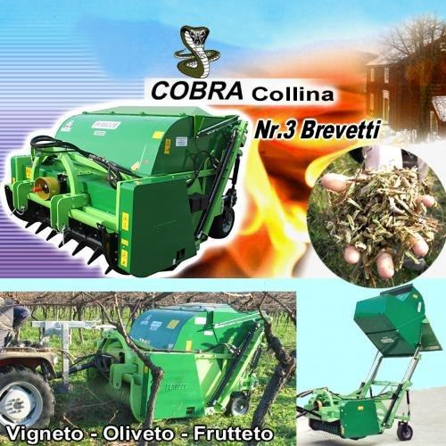 Biomass Shredder COBRA Collina